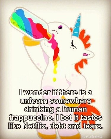 20 Hilarious Unicorn Memes That Will Brighten Your Day