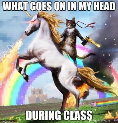 20 Hilarious Unicorn Memes That Will Brighten Your Day