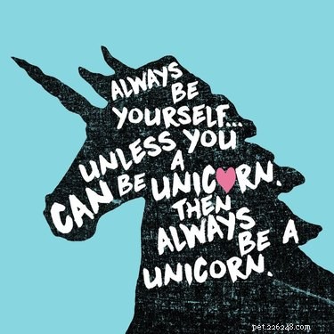 20 Hilarious Unicorn Memes That Will Brighten Your Day