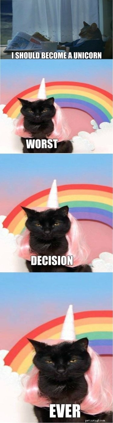 20 Hilarious Unicorn Memes That Will Brighten Your Day