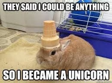 20 Hilarious Unicorn Memes That Will Brighten Your Day