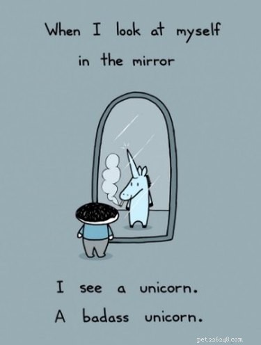 20 Hilarious Unicorn Memes That Will Brighten Your Day