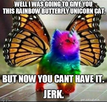 20 Hilarious Unicorn Memes That Will Brighten Your Day
