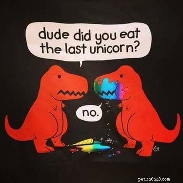 20 Hilarious Unicorn Memes That Will Brighten Your Day