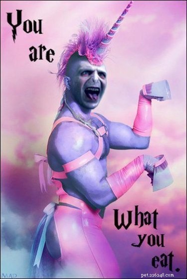 20 Hilarious Unicorn Memes That Will Brighten Your Day