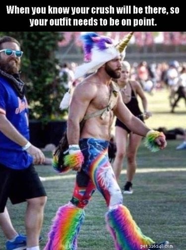 20 Hilarious Unicorn Memes That Will Brighten Your Day