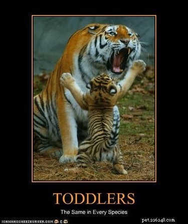 23 Animals Overwhelmed by Parenthood: Hilarious Tales of Overprotective Creatures