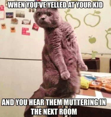 23 Animals Overwhelmed by Parenthood: Hilarious Tales of Overprotective Creatures