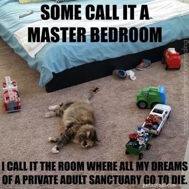 23 Animals Overwhelmed by Parenthood: Hilarious Tales of Overprotective Creatures