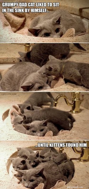 23 Animals Overwhelmed by Parenthood: Hilarious Tales of Overprotective Creatures
