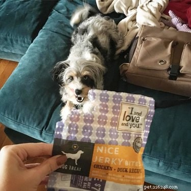 25 Hilarious Pet Photos Capturing Their Love for Food