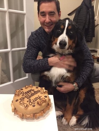 25 Hilarious Pet Photos Capturing Their Love for Food