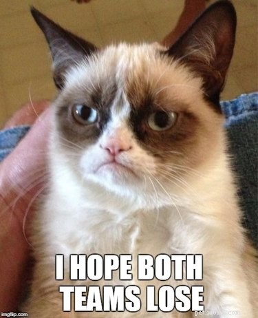 17 Animals That Would Likely Be Left Out of School Gym Class