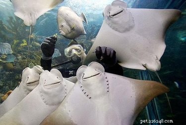 23 Adorable Animal Smiles to Brighten Your Day