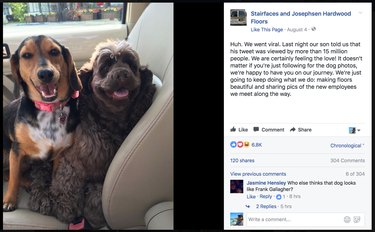Contractor Honors Pets with Humorous Awards in Every Home Project