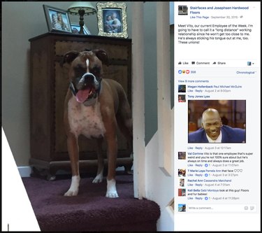 Contractor Honors Pets with Humorous Awards in Every Home Project