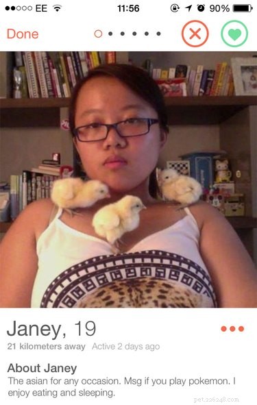 19 Fun Tinder Profiles That Show How Pets Make Online Dating Better