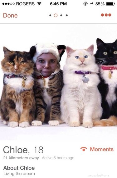 19 Fun Tinder Profiles That Show How Pets Make Online Dating Better