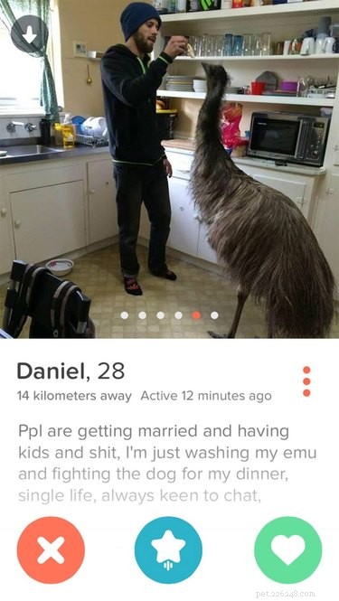 19 Fun Tinder Profiles That Show How Pets Make Online Dating Better