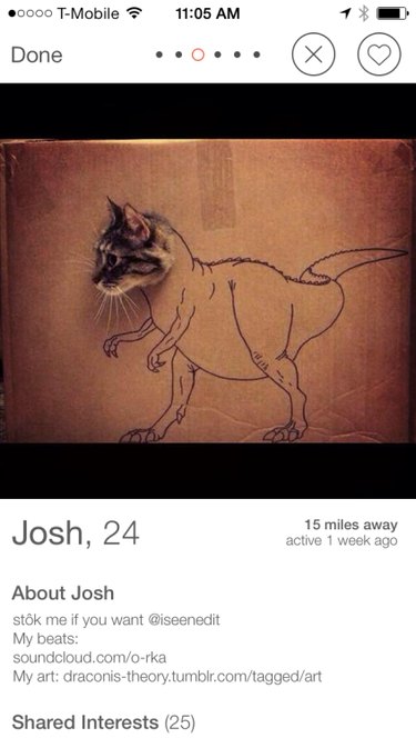 19 Fun Tinder Profiles That Show How Pets Make Online Dating Better