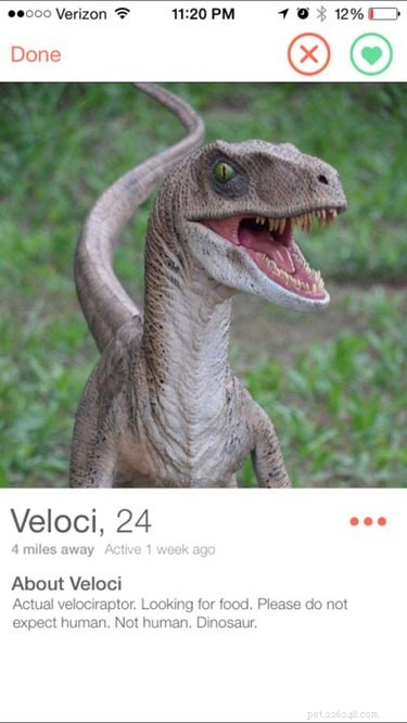 19 Fun Tinder Profiles That Show How Pets Make Online Dating Better