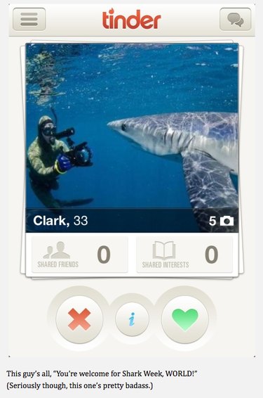19 Fun Tinder Profiles That Show How Pets Make Online Dating Better