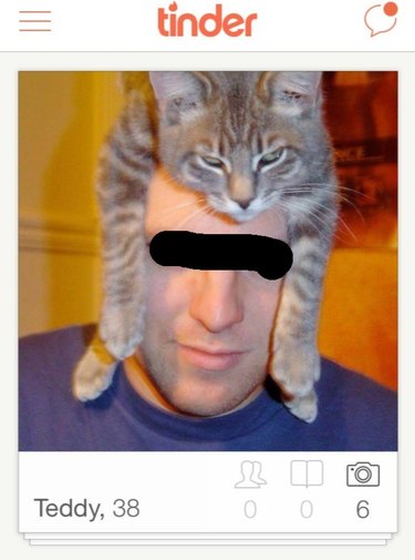 19 Fun Tinder Profiles That Show How Pets Make Online Dating Better