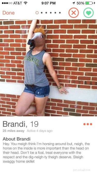 19 Fun Tinder Profiles That Show How Pets Make Online Dating Better