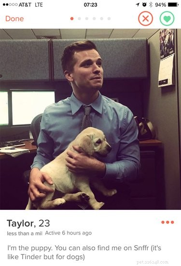 19 Fun Tinder Profiles That Show How Pets Make Online Dating Better