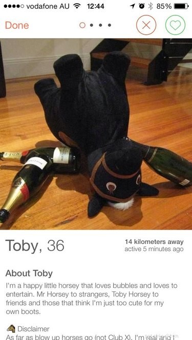 19 Fun Tinder Profiles That Show How Pets Make Online Dating Better