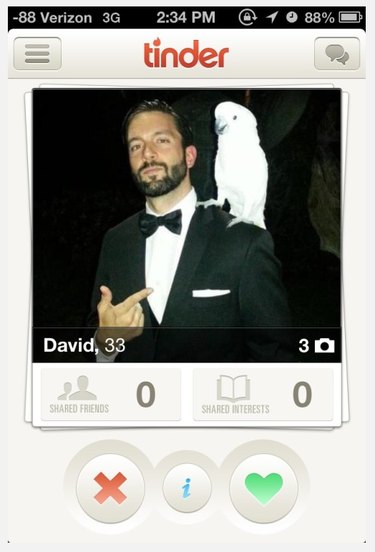19 Fun Tinder Profiles That Show How Pets Make Online Dating Better