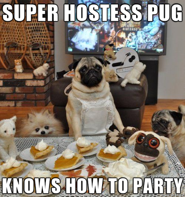 18 Pets to Enjoy a Cozy Friday Night With