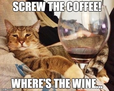 18 Pets to Enjoy a Cozy Friday Night With