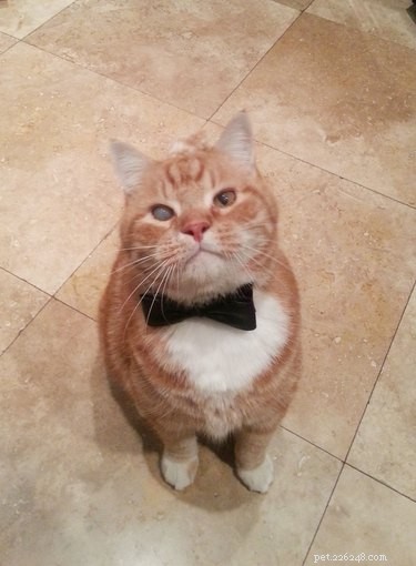 22 Hilariously Funny Animal Photos That Will Make You Laugh