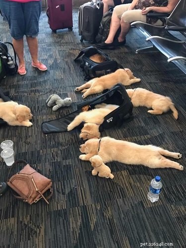 22 Hilariously Funny Animal Photos That Will Make You Laugh