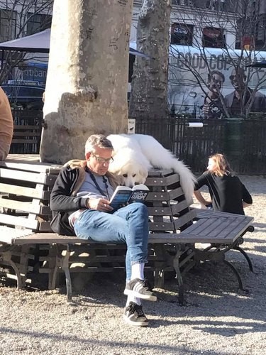 22 Hilariously Funny Animal Photos That Will Make You Laugh