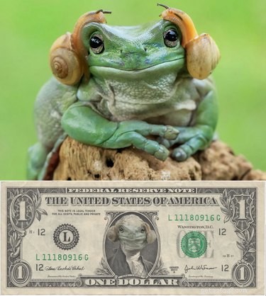 15 Hilarious Photoshopped Animals in Unexpected Situations