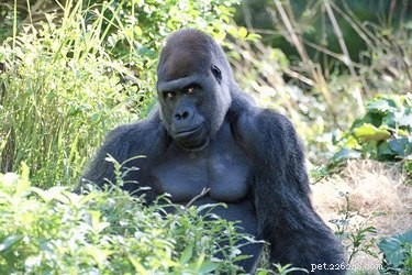 Share These 16 Hilarious Animal Photos Now