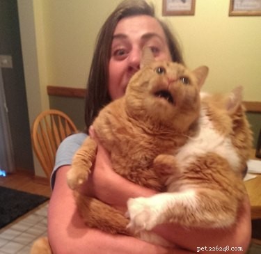 Share These 16 Hilarious Animal Photos Now