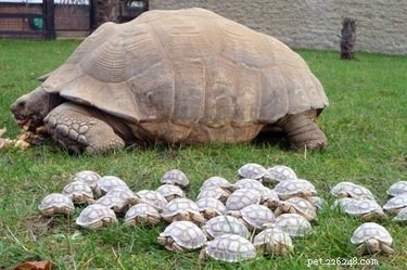 Share These 16 Hilarious Animal Photos Now