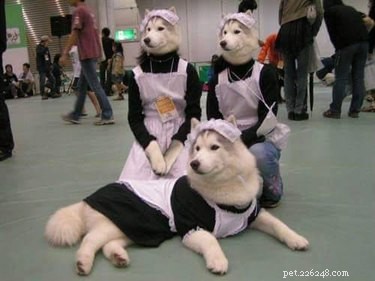 Share These 16 Hilarious Animal Photos Now