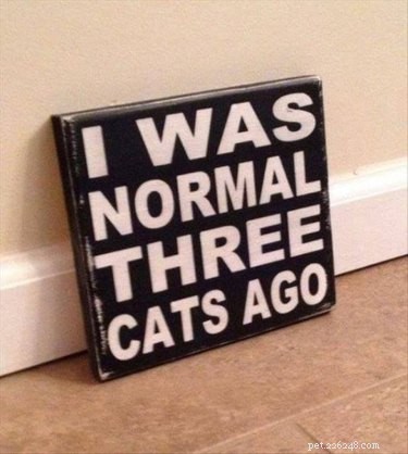 Share These 16 Hilarious Animal Photos Now
