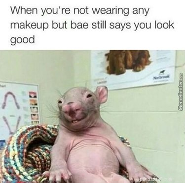 21 Stunning Hairless Pets That Celebrate Their Natural Beauty