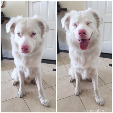 19 Adorable Animal Moments Guaranteed to Warm Your Heart