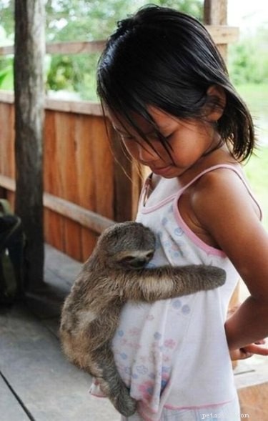 19 Adorable Animal Moments Guaranteed to Warm Your Heart