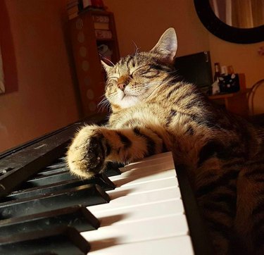 19 Adorable Animal Moments Guaranteed to Warm Your Heart
