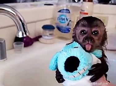 19 Adorable Animal Moments Guaranteed to Warm Your Heart