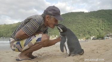 19 Adorable Animal Moments Guaranteed to Warm Your Heart