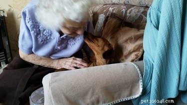 19 Adorable Animal Moments Guaranteed to Warm Your Heart