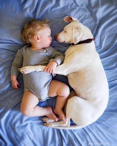 19 Adorable Animal Moments Guaranteed to Warm Your Heart